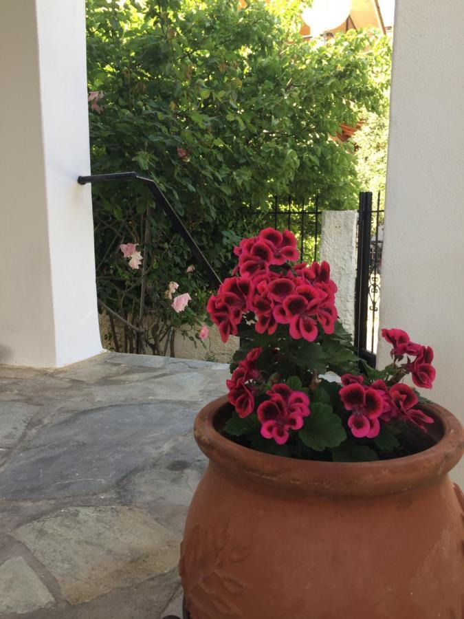 Rose'S Place Ártemida Kültér fotó